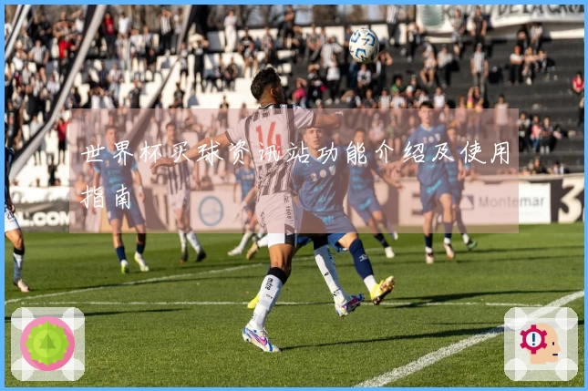 世界杯买球资讯站功能介绍及使用指南