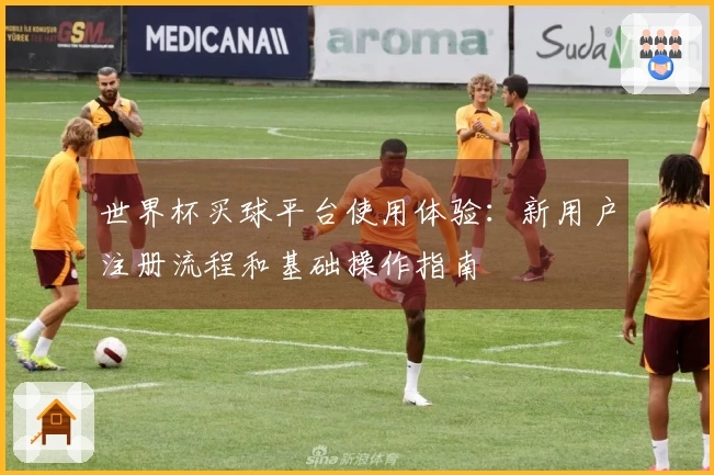 世界杯买球平台使用体验：新用户注册流程和基础操作指南