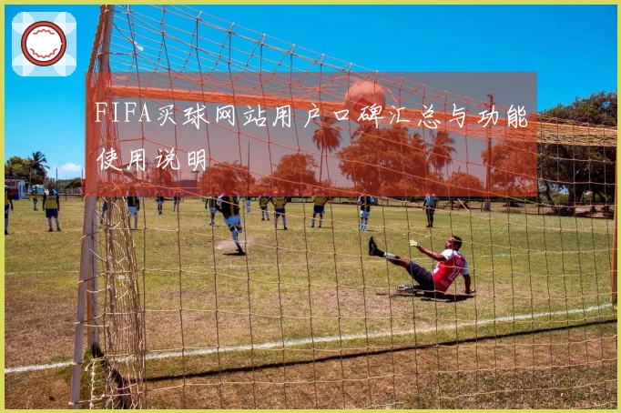 FIFA买球网站用户口碑汇总与功能使用说明